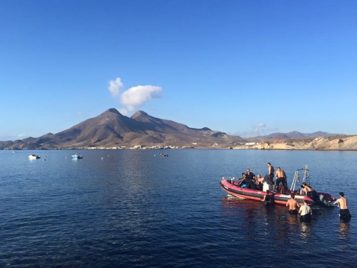 BUCEO ALMERIA