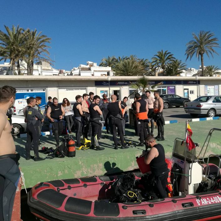 BUCEO VALENCIA 2